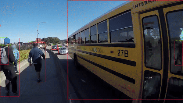 object-detection-result