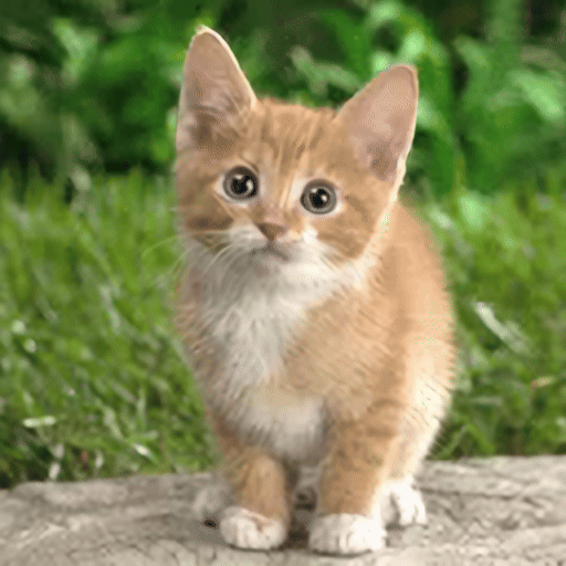 super-resolution-result